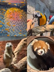 -Zoolung Zoolung动物主题公园(海信广场店)