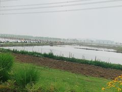 -梁鸿国家湿地公园
