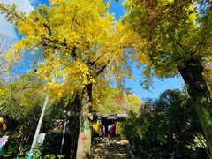 -狼山风景名胜区