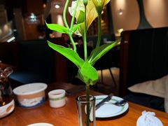 -三强鸽子(胜利路店)