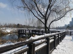 -洋湖国家湿地公园