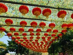 -田园寨农园观光园