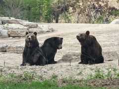-北京野生动物园