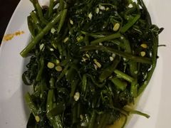 -绿光森林餐厅