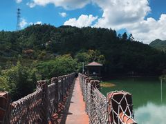 -广州白江湖森林公园