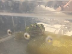 Big. Brother watching you-散德行小酒馆