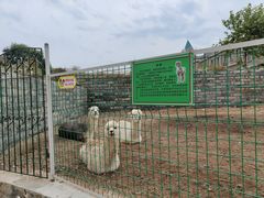 -清风小镇闯关东影视基地