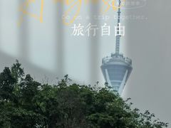 -JW德国冻酸奶Frozen Yogurt(龙湖成都滨江天街店)