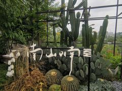 -熙楼(翠湖店)