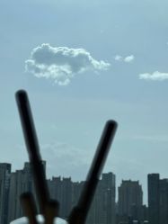 -baby bella小贝拉母婴护理中心(北京东隅店)
