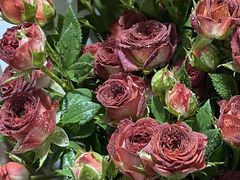 -循礼门鲜花花市(武汉循礼门店)