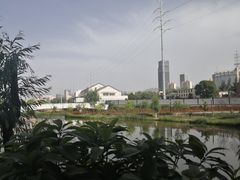 -雁滩公园