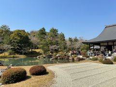-天龙寺