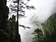 -农家土菜老煨锅(木鱼镇店)