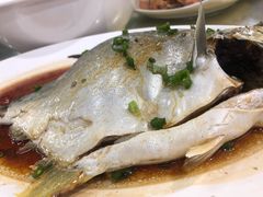 清蒸海鱼-明记海鲜大排档(巽寮湾店)