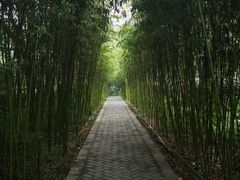 -唐城墙遗址公园