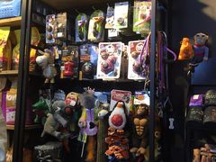 -Goku PET SHOP宠物视觉生活馆(双井店)