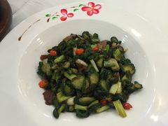小炒蔫黄瓜-翠清酒家(万丰路店)