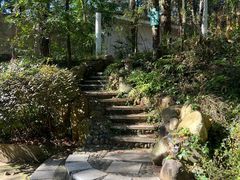 景点-金方森林温泉