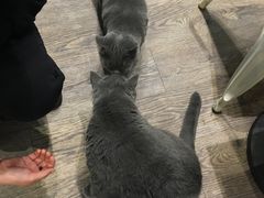-小时光咖啡馆(开森度假森林店)