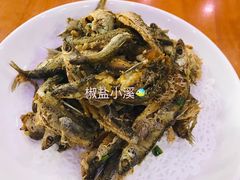 -全乐鱼馆·淳牌有机鱼直营店