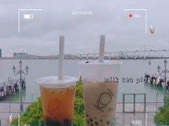 -Koi thé(水坑尾街店)