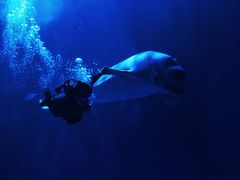 -多彩贵州城极地海洋世界