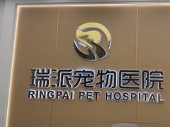 -瑞派康怡24h宠物医院·犬猫医疗中心·微创绝育(瑞景分院)