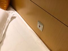 -苏州金鸡湖文博诺富特酒店