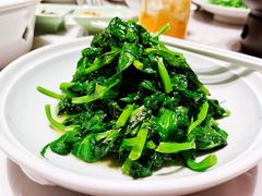 鸡油豆苗-蘭心·臻品(瑞虹太阳宫店)