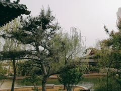 -迎泽公园