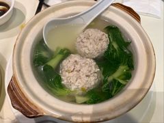 -丁老爷子苏香圆