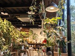 -自由生长植物工作室(深港花卉中心店)