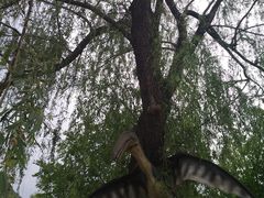 -百里山水画廊-恐龙游乐园