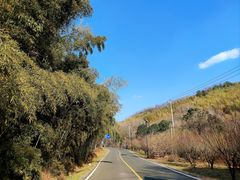 -南京市无想山景区