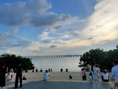 -宝安西湾红树林湿地公园