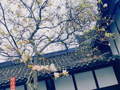 -望江楼公园