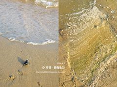 -碧海金沙