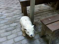 -苏州桃花坞国际青年旅舍