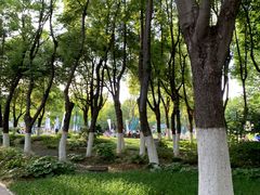 -天鹅湖体育公园