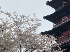 -枫桥景区