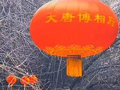 -大唐博相府酒店·陕西官府菜