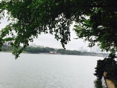 -南宁南湖公园