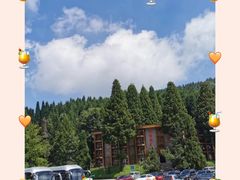 -武陵山森林公园