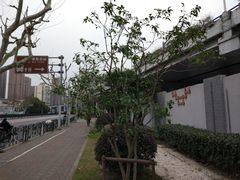 -上海旅游集散中心(万体站)