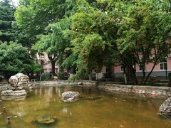 -陕西师范大学(雁塔校区)