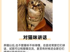 -美联众合动物医院·24h转诊中心
