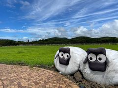 -济州森林小火车生态公园