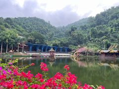 -西双版纳原始森林公园