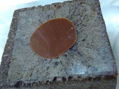 -好利来(朝外店)